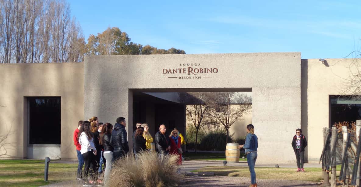 Mendoza: Half-Day Wine Tour with Tastings
