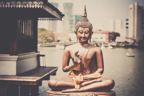 Colombo Half-Day City Tour - Cruise terminal /Hotels