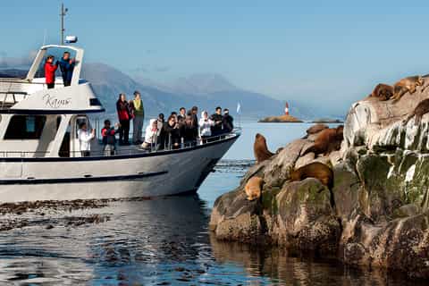 Ushuaia: Cruzeiro Canal de Beagle e Excursão Ilha Bridges