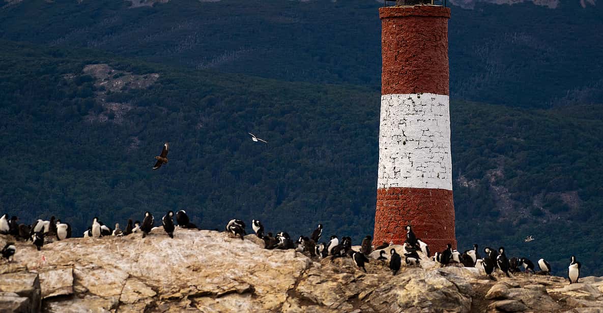 Ushuaia: Beagle Channel Boat Tour and Bridges Island Trek