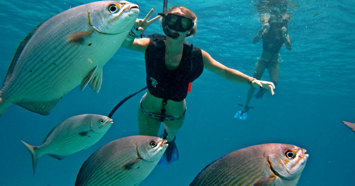 Cozumel: Chankanaab Beach Adventure Day Pass with Snorkeling | GetYourGuide