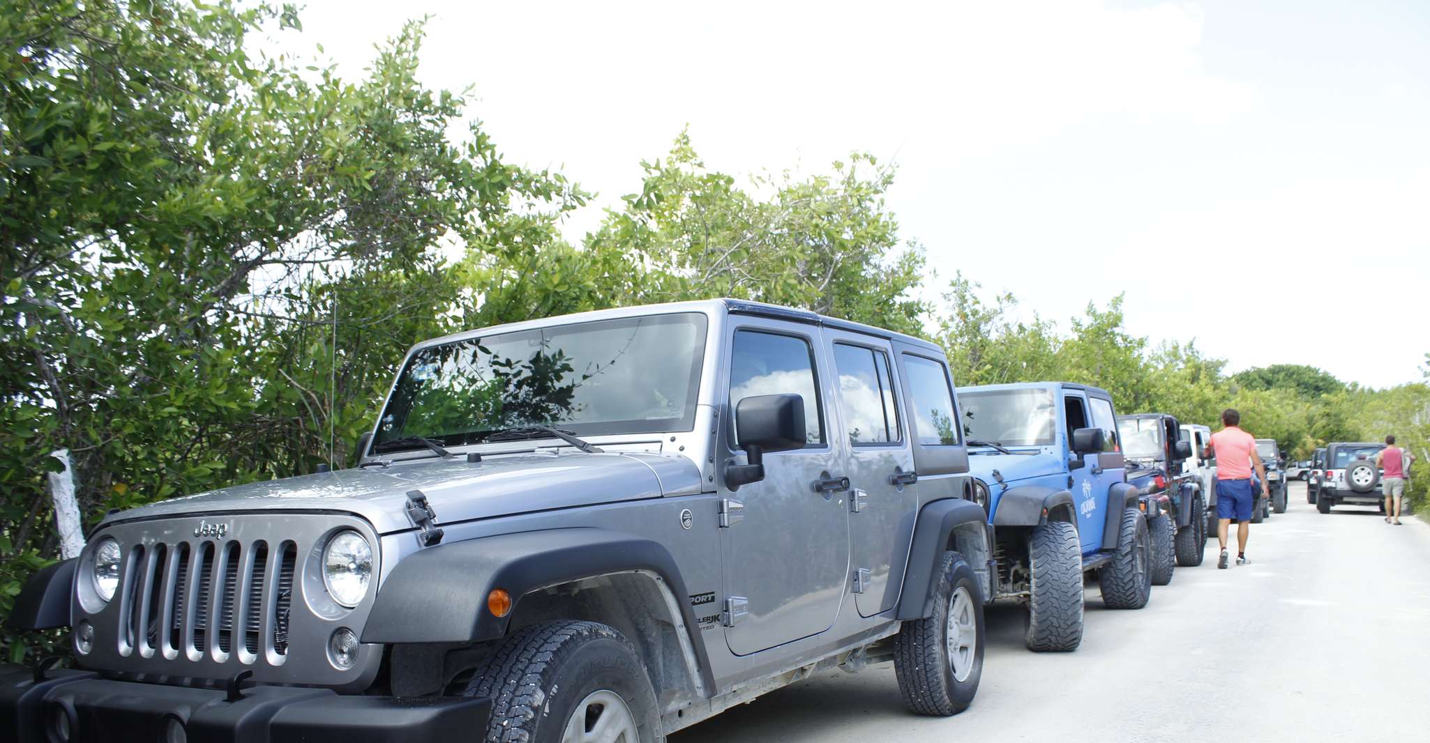 Cozumel, Jeep or Car rental - Housity