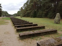 Halbtägige Tour nach Treblinka Camp aus Warschau - Housity