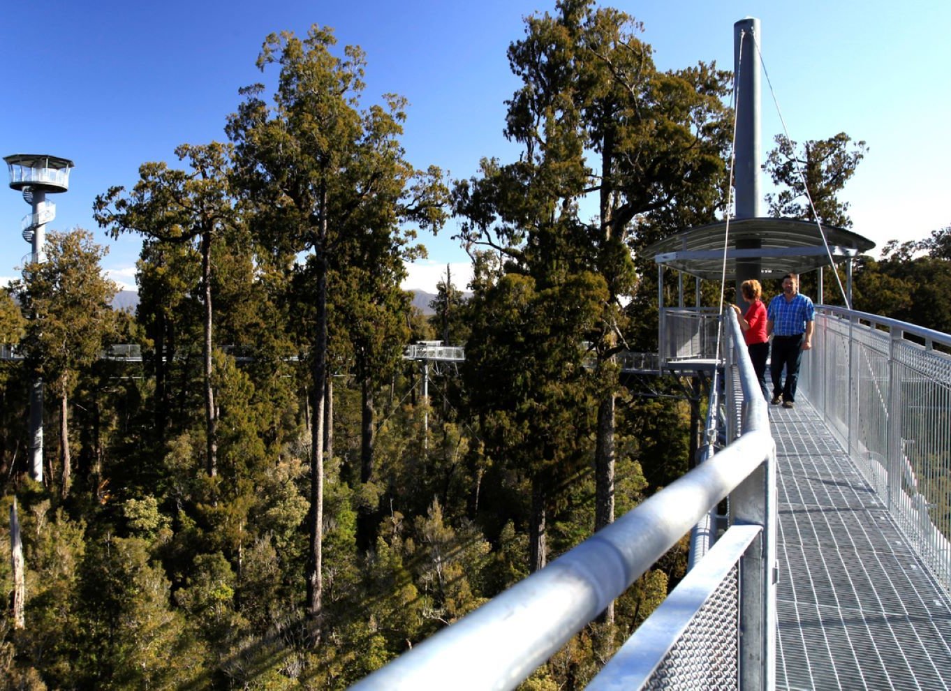 Greymouth: Hokitika Gorge og Tree Top Walkway halvdagstur