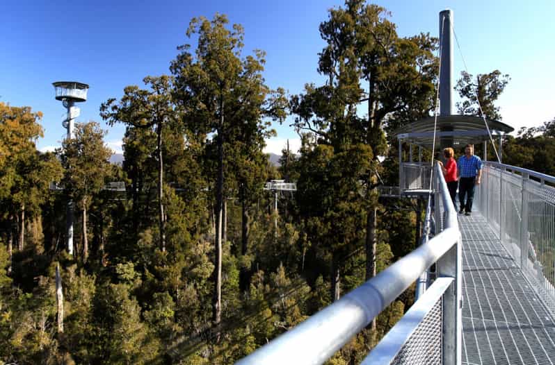 Greymouth Hokitika and Tree Top Walkway HalfDay Tour GetYourGuide