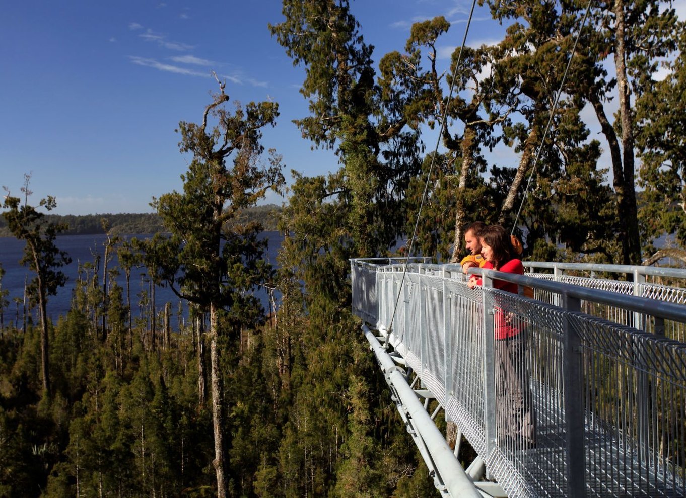 Greymouth: Hokitika Gorge og Tree Top Walkway halvdagstur