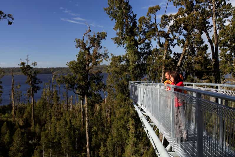 Greymouth Hokitika e Tree Top Walkway de meio dia GetYourGuide