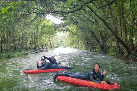 Port Douglas: River Drift Snorkeling Tour a Daintree