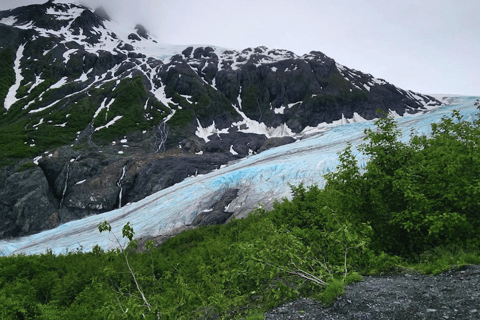 Seward: Guided Marmot Meadows Hike with Lunch