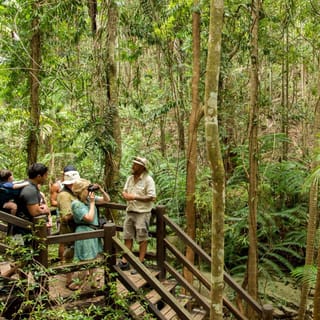 From Hervey Bay: K'gari, Fraser Island Full-Day Coach Tour
