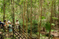来自弗雷泽岛（Fraser Island）全天教练之旅的赫维湾（Hervey Bay） - Housity