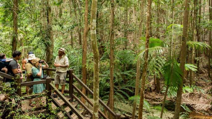 from hervey bay fraser island fullday coach tour