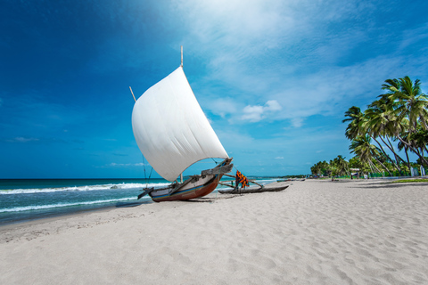 Negombo: City Tour from Colombo City Tour