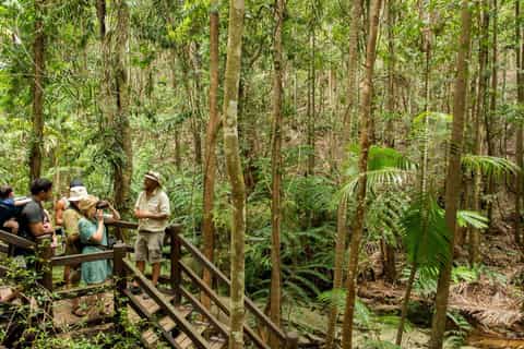 From Rainbow Beach: Fraser Island Full-Day Coach Tour