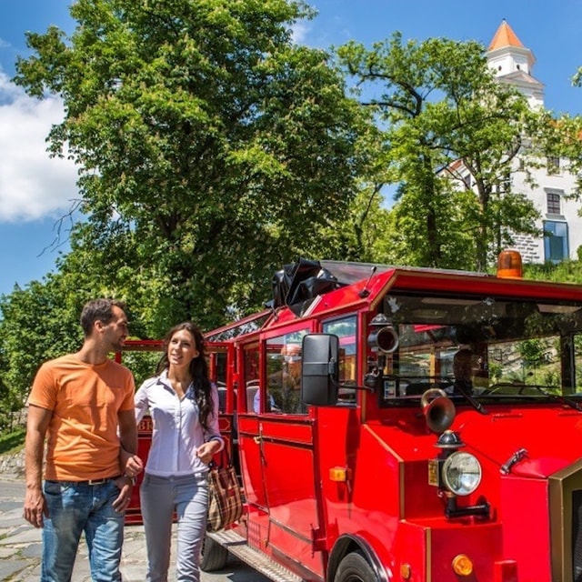 Bratislava: Bus & Minivan Tours