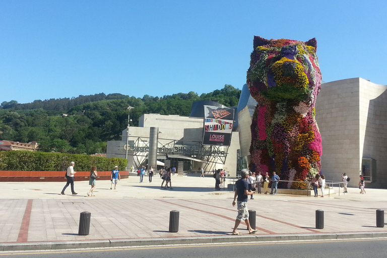 Bilbao: Museu Guggenheim Bilbao Bilhete incluído em espanhol