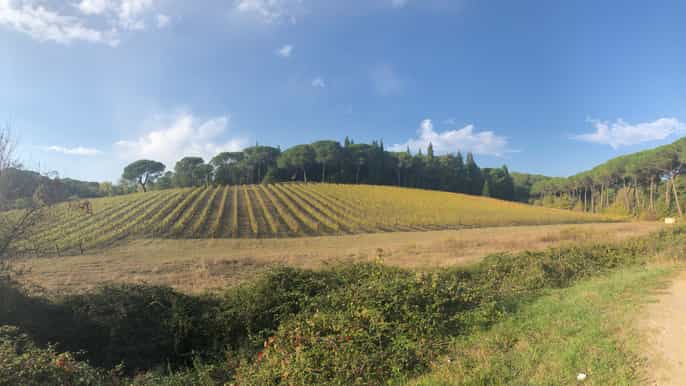 from florence fullday chianti wine tour
