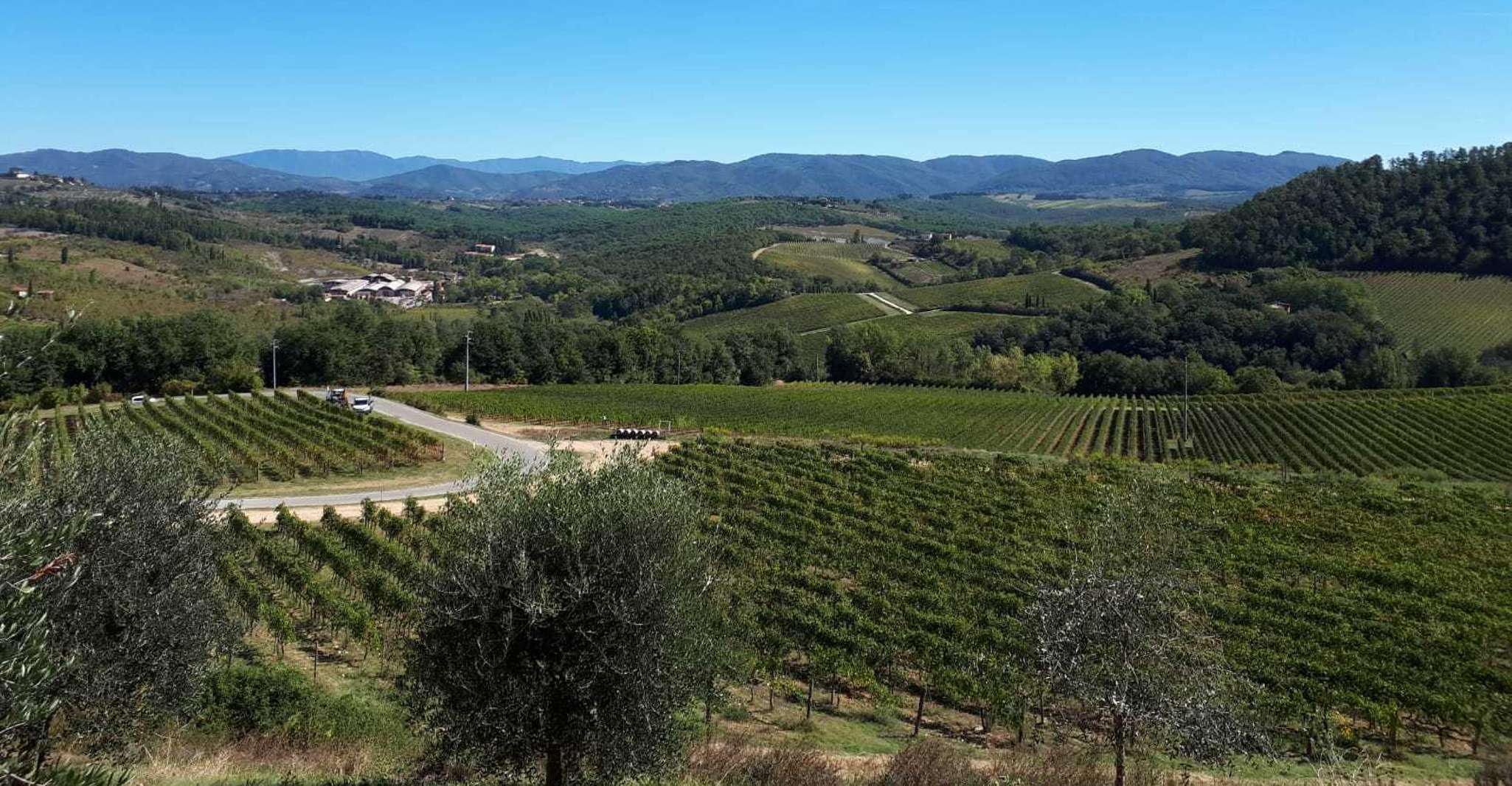 Florence: Chianti Wine Tour with 3 Wineries & Tuscan Lunch photo 4