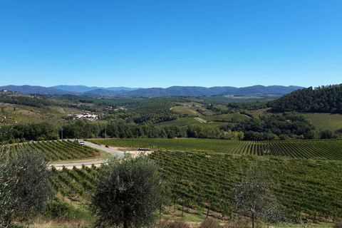 Florence: Chianti Wine Tour with 3 Wineries & Tuscan Lunch