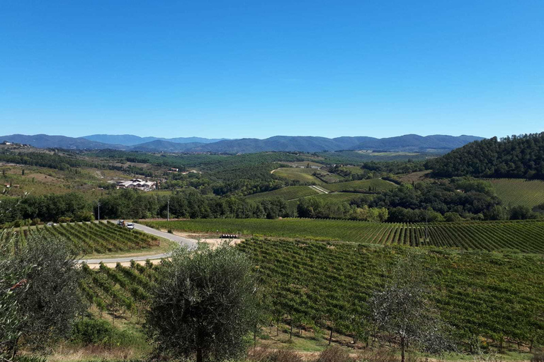 Florence: Chianti Wine Tour with 3 Wineries & Tuscan Lunch