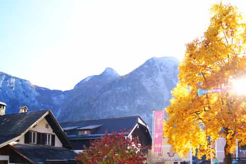 Vienna: Hallstatt & Alpine Peaks Day Trip with Skywalk Lift