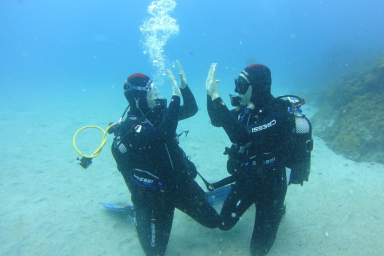 Tenerife: Ontdek Scuba Diving met gratis foto's