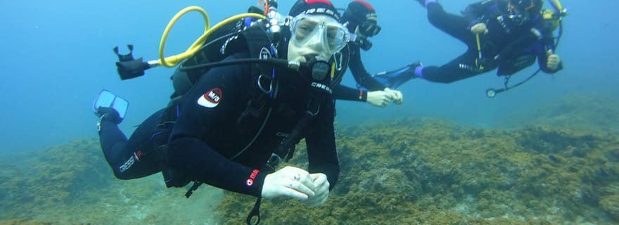 Tenerife : Découvrez la plongée sous-marine avec des photos gratuites