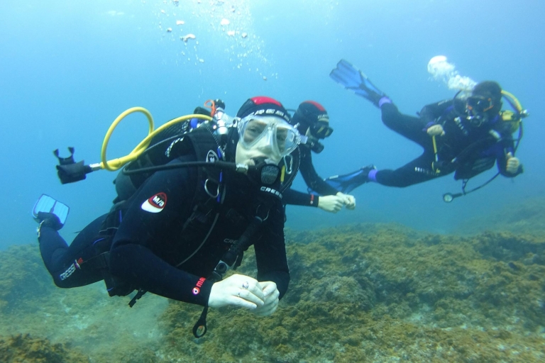 Tenerife: Ontdek Scuba Diving met gratis foto's