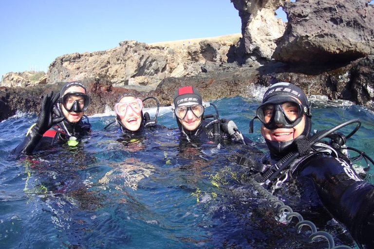 Tenerife: descubre el submarinismo con fotos gratuitas