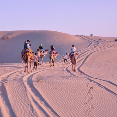 Visit Jaisalmer Evening Desert Tour Camel Safari and by Car in Jaisalmer