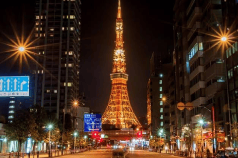 From Tokyo: Tokyo Full Day Private Customization City Tour Tokyo Private fully Customized Tour