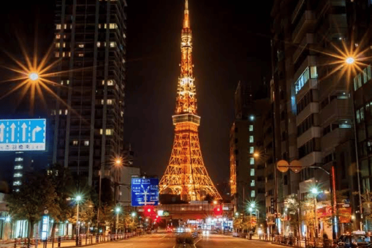 From Tokyo: Tokyo Full Day Private Customization City Tour Tokyo Private fully Customized Tour