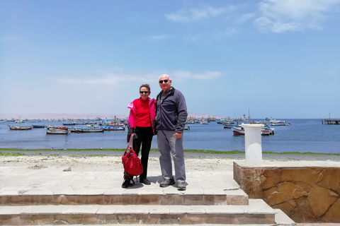 Depuis Lima : visite privée îles Ballestas et Huacachina