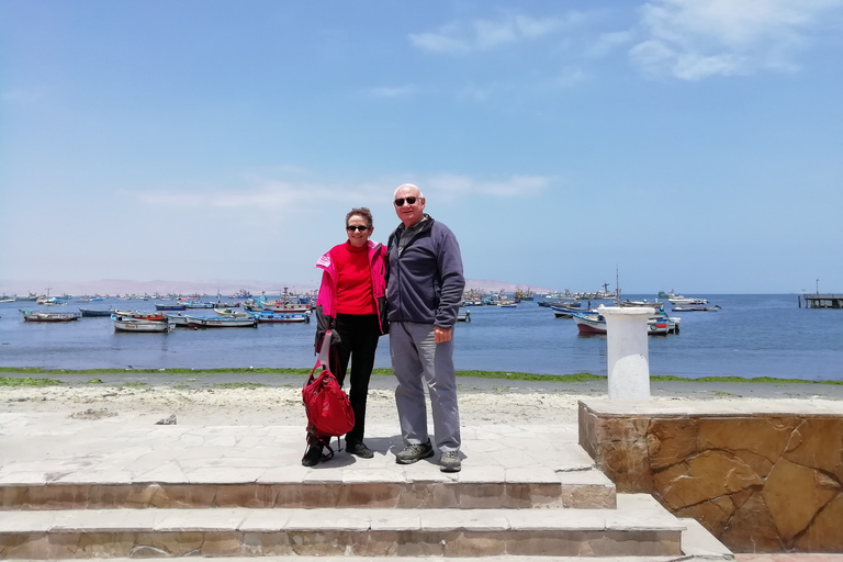 Depuis Lima : visite privée îles Ballestas et Huacachina