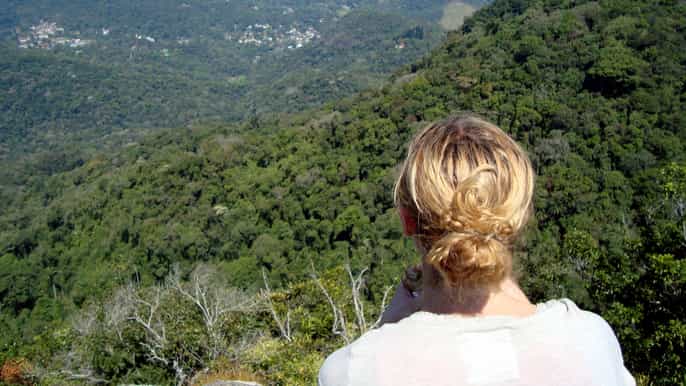 rio de janeiro tijuca forest and botanical garden tour