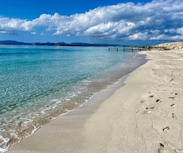 Formentera: Paddleboarding & Snorkelling 1h Tour
