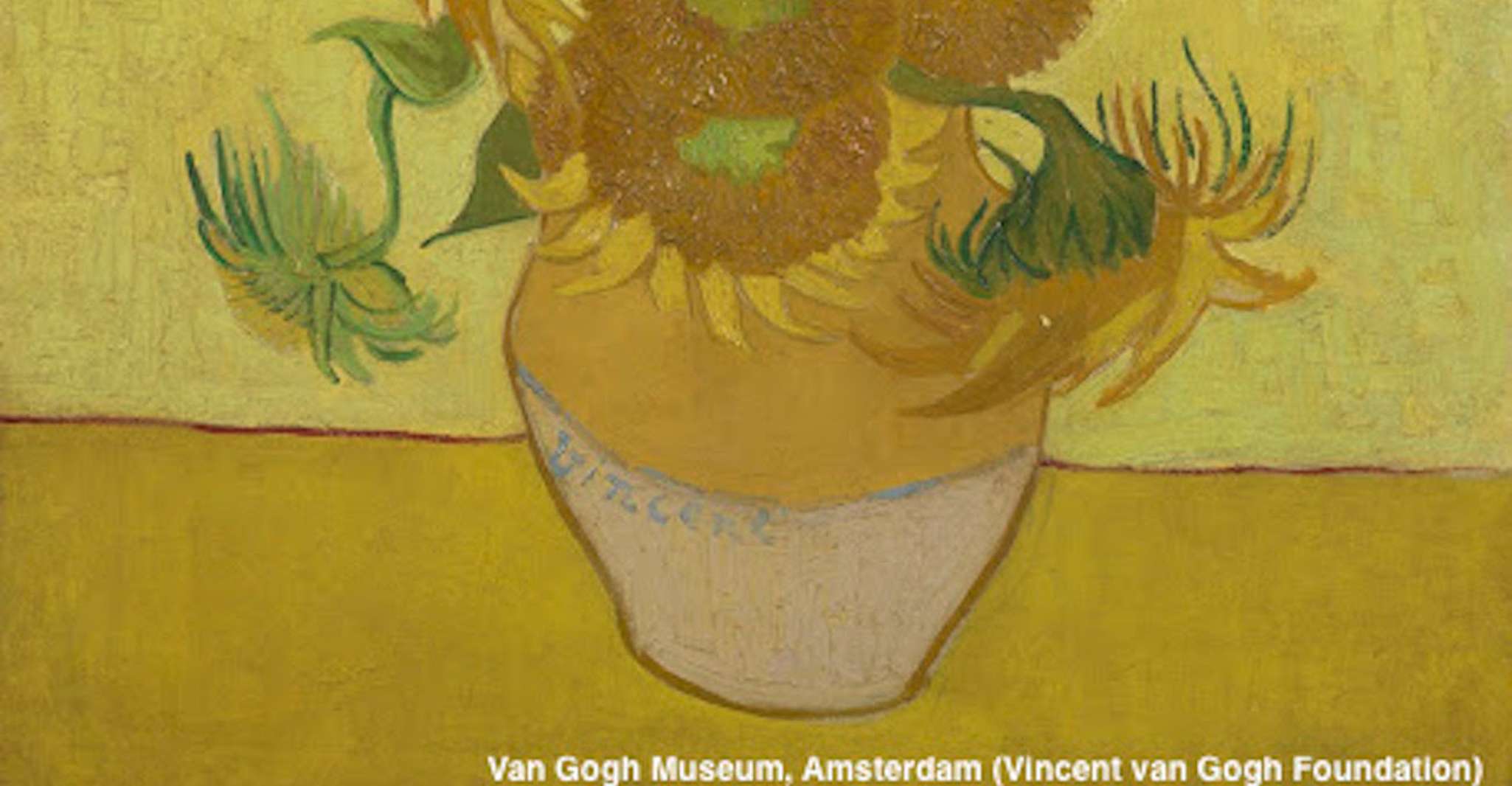 Visita guiada con entrada al Museo Van Gogh de Ámsterdam - Hizvo