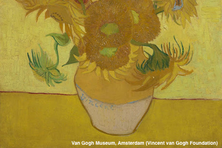 Amsterdam: Van Gogh Museum Guidad tur med inträdeVan Gogh Museum guidad tur på spanska