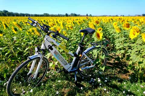 Pisa: Self-Guided E-Bike Tour