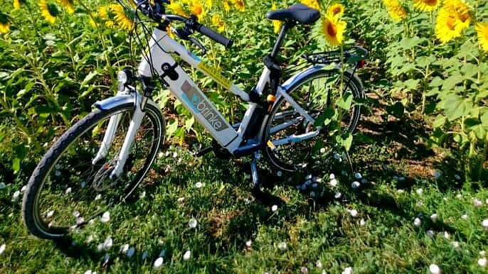 pisa selfguided ebike tour