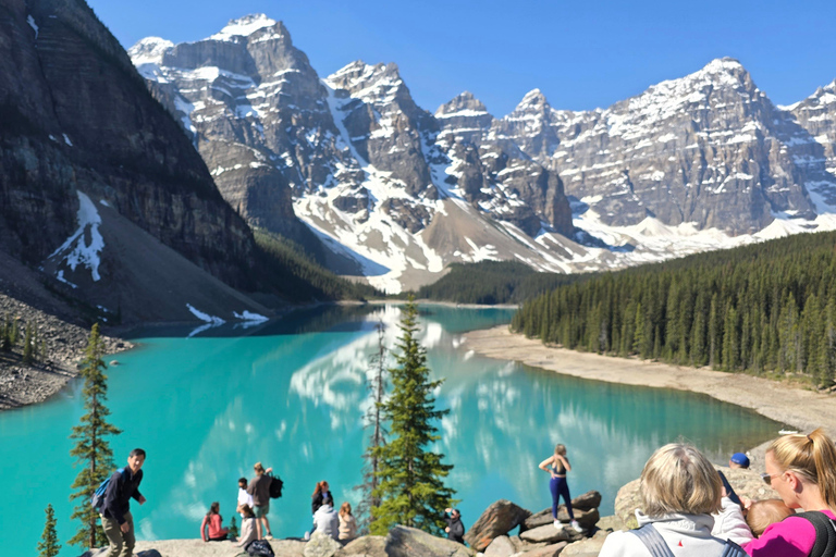 Tour di mezza giornata del Lago Moraine e del Lago LouisePrelievo mattutino da Canmore