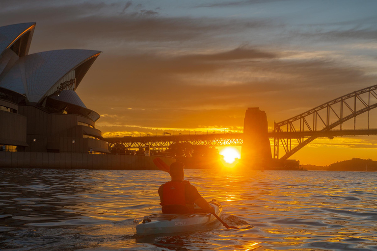 Sydney: Harbour Sunrise Kayak Tour Sunrise Single Kayak Tour