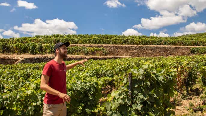 fullday tour from porto to the douro valley