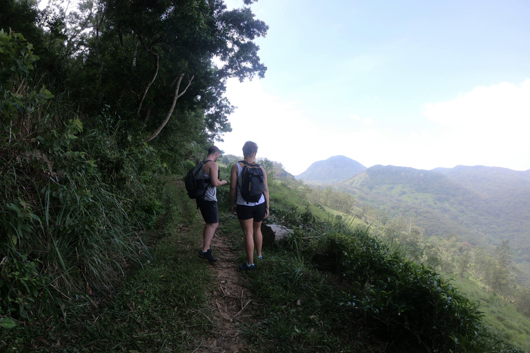 Kandy: Waterfalls and Local Village Day Tour with Lunch