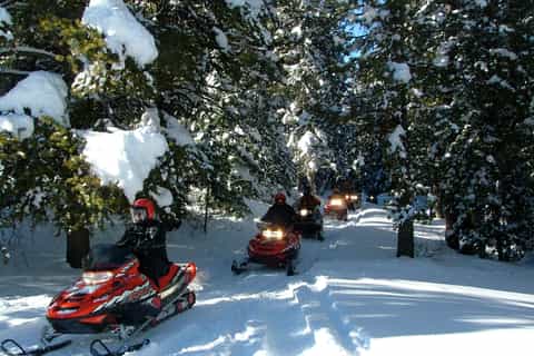 Bridger-Teton Forest: Half-Day Snowmobile Remote Adventure
