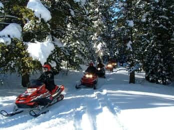 Bridger-Teton Forest: Halbtägiges Schneemobil-Fernabenteuer Bridger-Teton Forest: Halbtägiges Schneemobil-Fernabenteuer