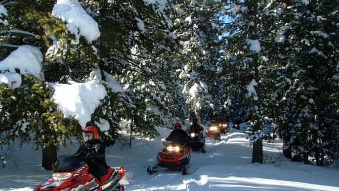 bosque bridgerteton aventura remota de medio día en moto de nieve