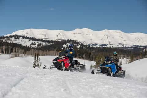 Bosque Bridger-Teton: aventura remota de medio día en moto de nieve