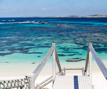 From Perth: Rottnest Island Ferry & Admission