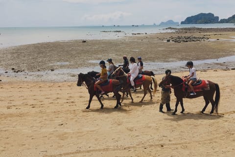 Krabi: Horseback Riding on the Beach